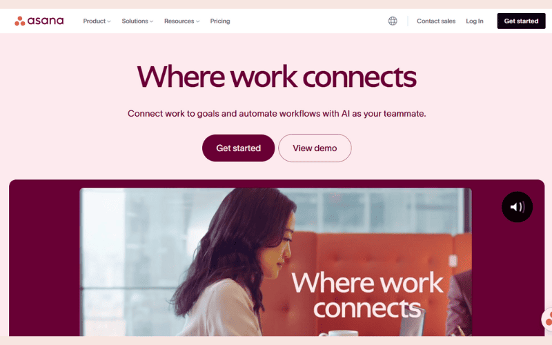Asana Project Management Tool Dashboard