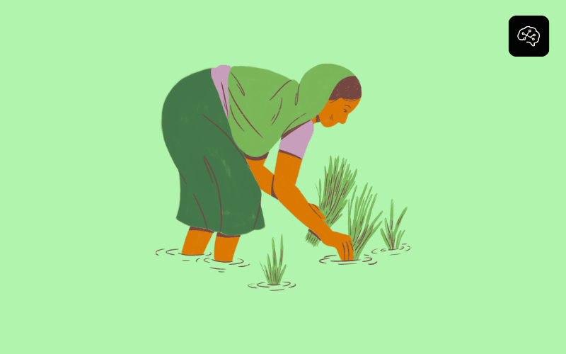 Artificial Intelligence in Agriculture